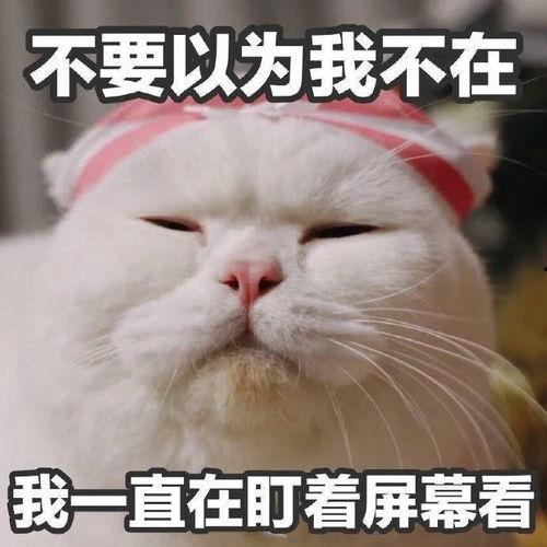 刘大锤最新爆料表情,揭秘娱乐圈最新热点事件 第2张 刘大锤最新爆料表情,揭秘娱乐圈最新热点事件 第2张